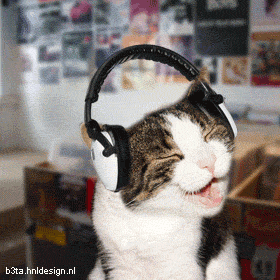 QUE ONDA CON EL GATO