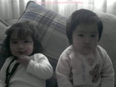 Las Gochas